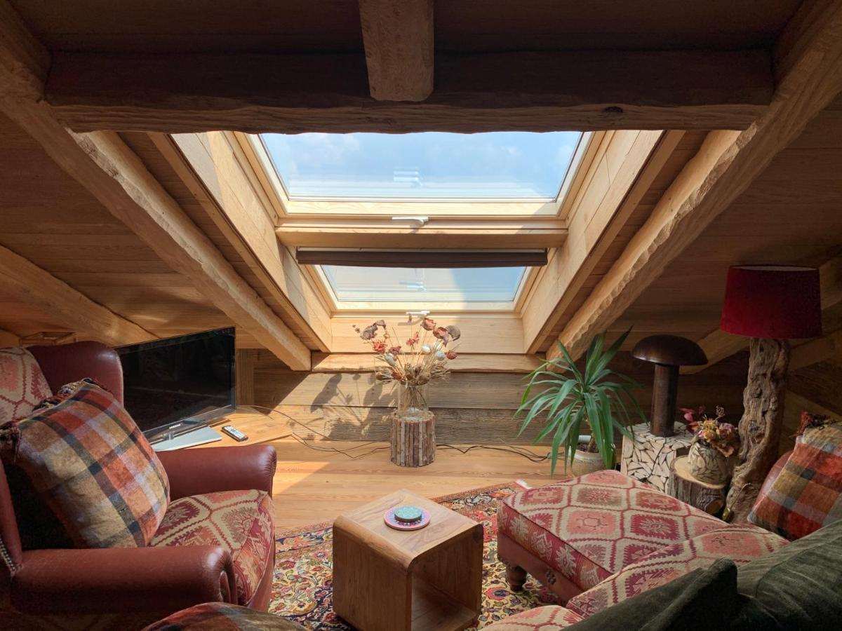 Private Luxury Spa & Silence Retreat With Spectacular View Over The Lake Maggiore 斯特雷萨 外观 照片